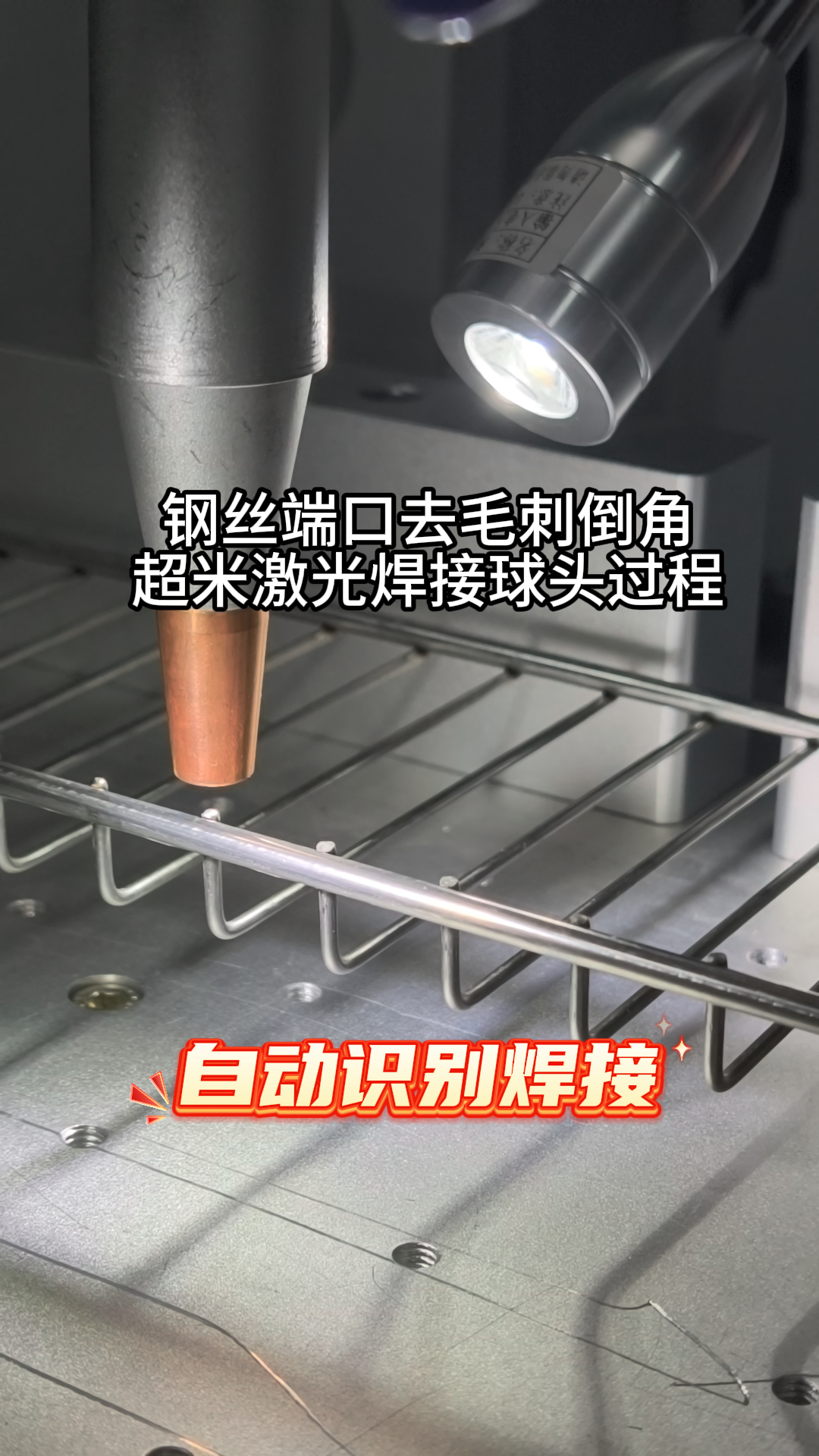 5月12日 (1)(3)